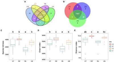 Taxonomic Structure of Rhizosphere Bacterial Communities and Its Association With the Accumulation of Alkaloidal Metabolites in Sophora flavescens